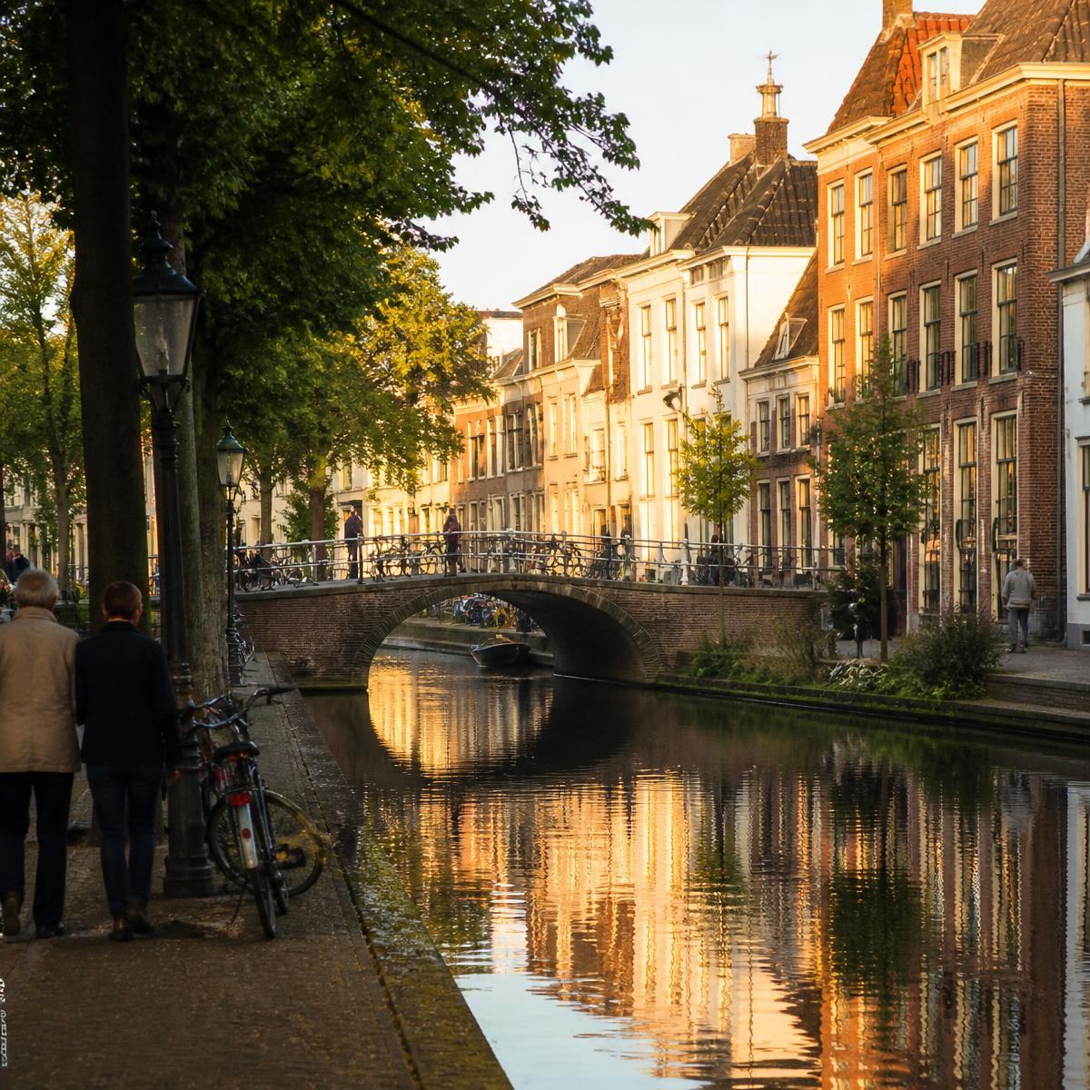 Nederlandse gracht met historische panden in het late middaglicht